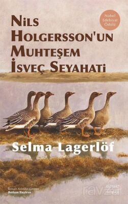 Nils Holgersson'un Muhteşem İsveç Seyahati - 1