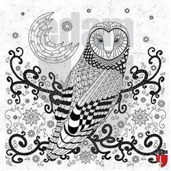 Nuh'un Gemisi Tablo Boyama Serisi 4 - Baykuş - Edam Yayınları