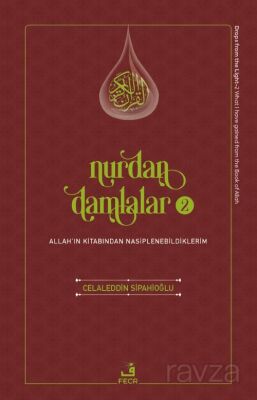 Nurdan Damlalar 2 - 1