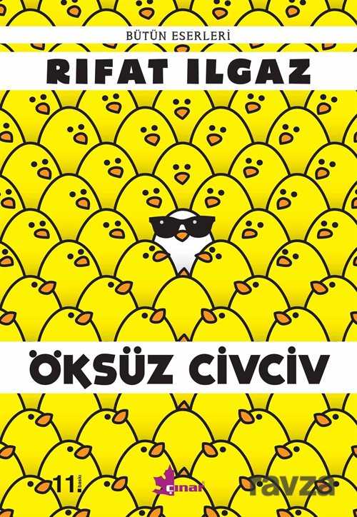 Öksüz Civciv - Çınar Yayınları