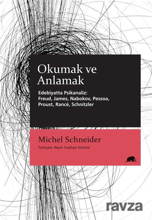 Okumak ve Anlamak - Edebiyatta Psikanaliz: Freud, James, Nabokov, Pessoa, Proust, Rancé, Schnitzler - Kolektif Kitap
