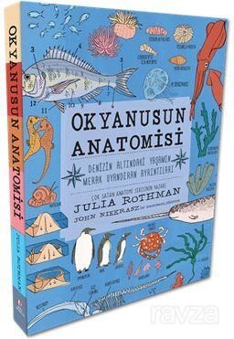 Okyanusun Anatomisi - 1