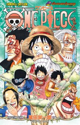 One Piece 60. Cilt / Kardeşim Benim - Gerekli Şeyler