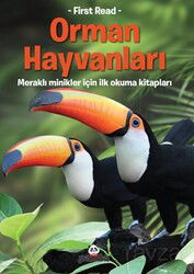 Orman Hayvanları / Meraklı Minikler - Beyaz Panda Yayınları
