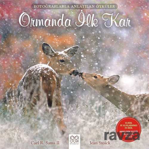 Ormanda İlk Kar - 1001 Çiçek Kitaplar