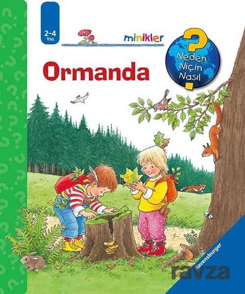 Ormanda / Neden, Niçin, Nasıl? Serisi - Mikado Yayınları