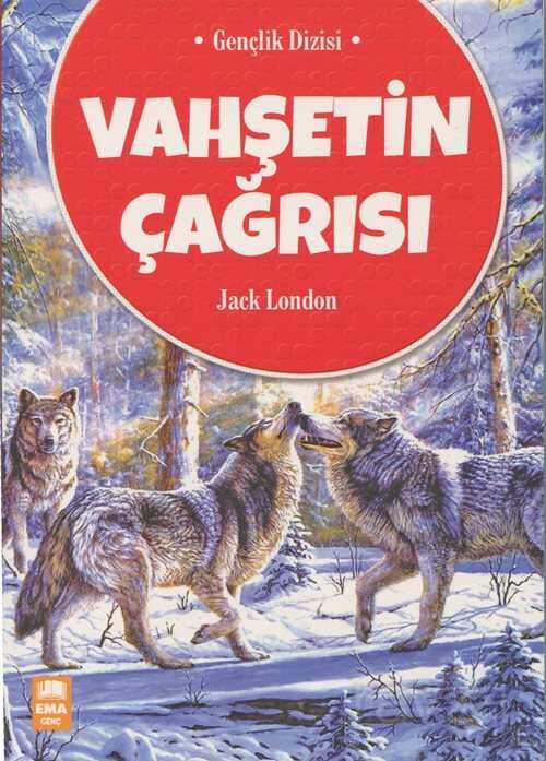 Öykü Treni Seti (80 Kitap Takım) 1. ve 2. Sınıflar İçin, Düz Yazılı - Ema Çocuk