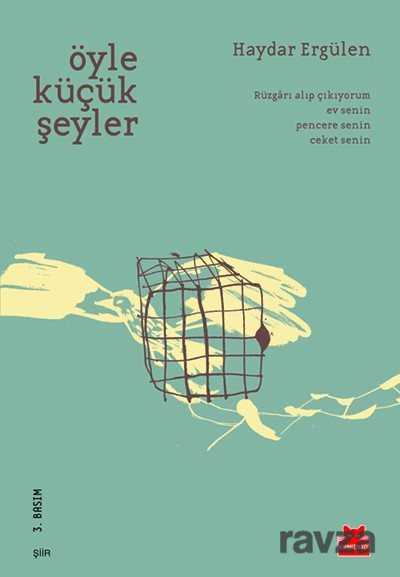 Öyle Küçük Şeyler - Kırmızı Kedi Yayınevi