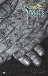 Öze Dönüş Afrika'yı Görünür Kılmak - Ayrıntı Yayınları