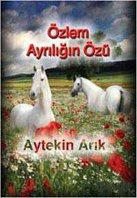 Özlem Ayrılığın Özü - 1