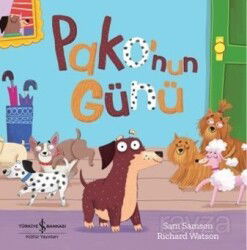 Pako'nun Günü - İş Bankası Yayınları