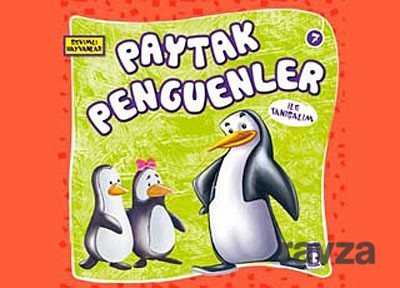 Paytak Penguenler ile Tanışalım / Sevimli Hayvanlar -7 - 1