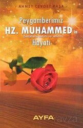 Peygamberimiz Hz. Muhammed’in (s.a.v.) Hayatı - Ayfa Basın