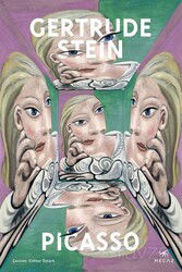 Picasso - Mecaz Yayınları