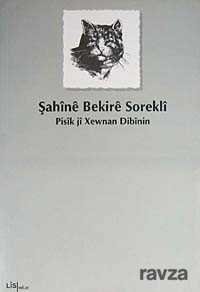 Pisik Ji Xewnan Dibinin - Lis Yayınları