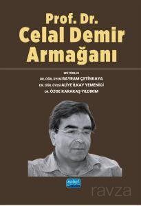Prof. Dr. Celal Demir Armağanı - 1