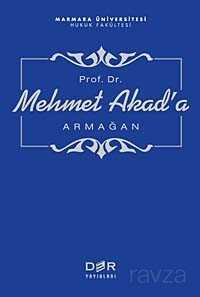 Prof. Dr. Mehmet Akad'a Armağan - Der Yayınları