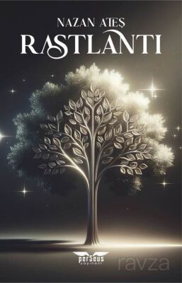 Rastlantı (1. Kitap) - 1