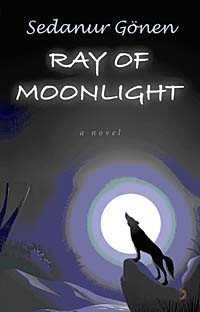 Ray of Moonlight - 1