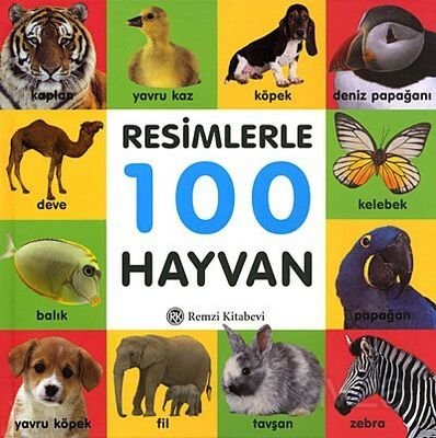 Resimlerle 100 Hayvan (Küçük Boy) - 1