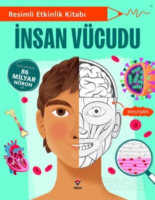 Resimli Etkinlik Kitabı - İnsan Vücudu - 1