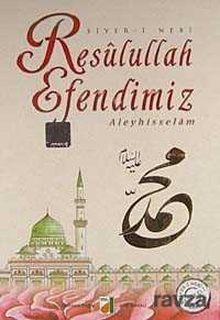 Resulullah Efendimiz Aleyhisselam / Siyer-i Nebi - Damla Yayınları