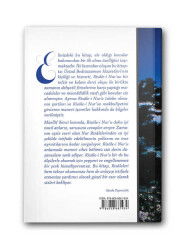 Risale-i Nur’un Mahiyeti ve İstifade Yolları - 2