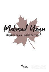 Rojek Ji Rojên Evdalê Zeynikê - Sel Yayınları