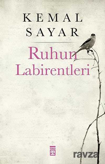 Ruhun Labirentleri - 1