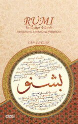 Rumi In Other Words Introduction to Commentaries of Mathnawi - Çizgi Kitabevi