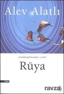 Rüya / Schrödinger'in Kedisi 2 - Everest Yayınları