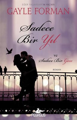 Sadece Bir Yıl ve Sadece Bir Gece - 1