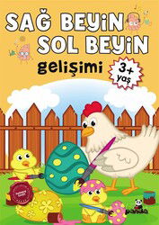 Sağ Beyin-Sol Beyin Gelişimi (3+ Yaş) - Beyaz Panda Yayınları