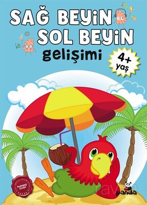 Sağ Beyin-Sol Beyin Gelişimi (4+ Yaş) - 1