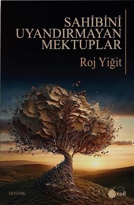 Sahibini Uyandırmayan Mektuplar - 1