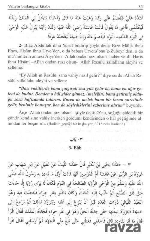 Sahih-i Buhari Tercüme ve Şerhi (11 Cilt) (Ciltli) - 3