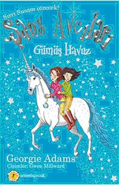 Şans Avcıları 2 / Gümüş Havuz - Artemis Yayınları