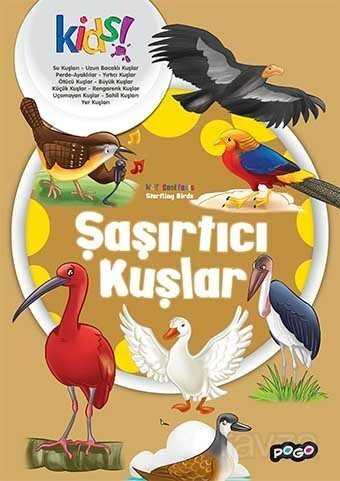 Şaşırtıcı Kuşlar / İlk Kütüphanem Serisi - 1