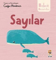 Sayılar - Sincap Kitap