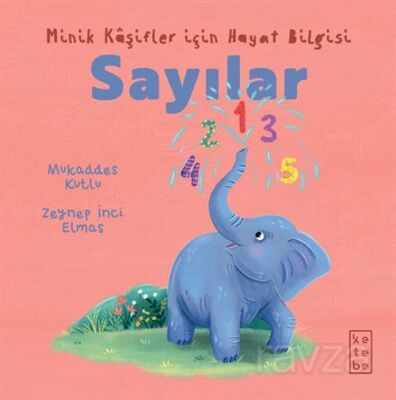 Sayılar / Minik Kaşifler için Hayat Bilgisi - 1