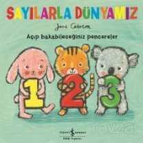 Sayılarla Dünyamız - İş Bankası Yayınları