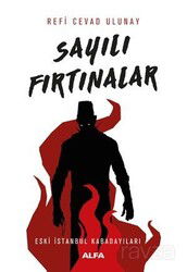 Sayılı Fırtınalar - Alfa Yayınları