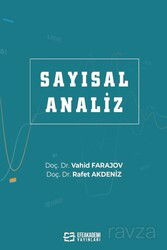 Sayısal Analiz - Efe Akademi Yayınları