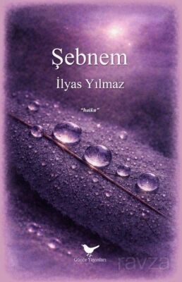 Şebnem - 1