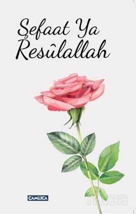 Şefaat Ya Resulallah (2 Kitap) - Çamlıca Basım Yayın