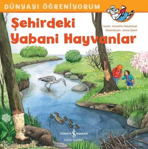 Şehirdeki Yabani Hayvanlar / Dünyayı Öğreniyorum - İş Bankası Yayınları
