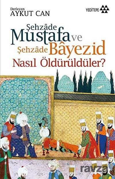 Şehzade Mustafa ve Şehzade Bayezid Nasıl Öldürüldüler? - 1