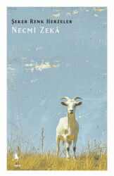 Şeker Renk Herzeler - A7 Kitap