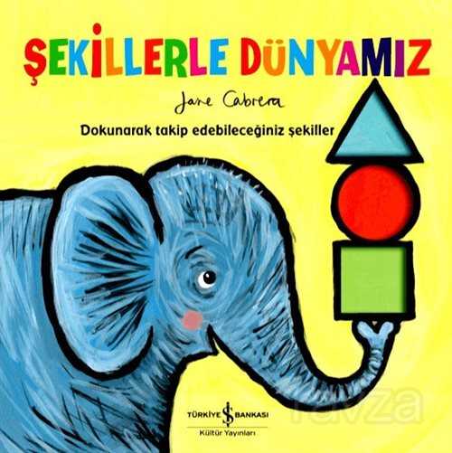 Şekillerle Dünyamız - 1