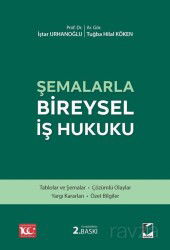 Şemalarla Bireysel İş Hukuku - Adalet Yayınevi